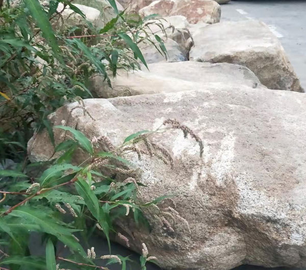 水沖石