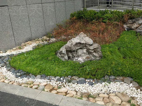 案例展示